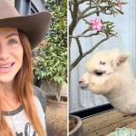 Giovanna Ewbank dá animal inusitado de presente para o filho caçula; vídeo