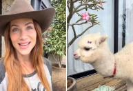 Giovanna Ewbank dá animal inusitado de presente para o filho caçula; vídeo