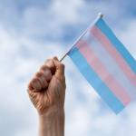 Justiça do trabalho condena empresa a pagar R$ 13 mil a mulher trans por restrição de banheiro