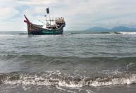 Cientistas usam os escombros do mar para captar dióxido de carbono