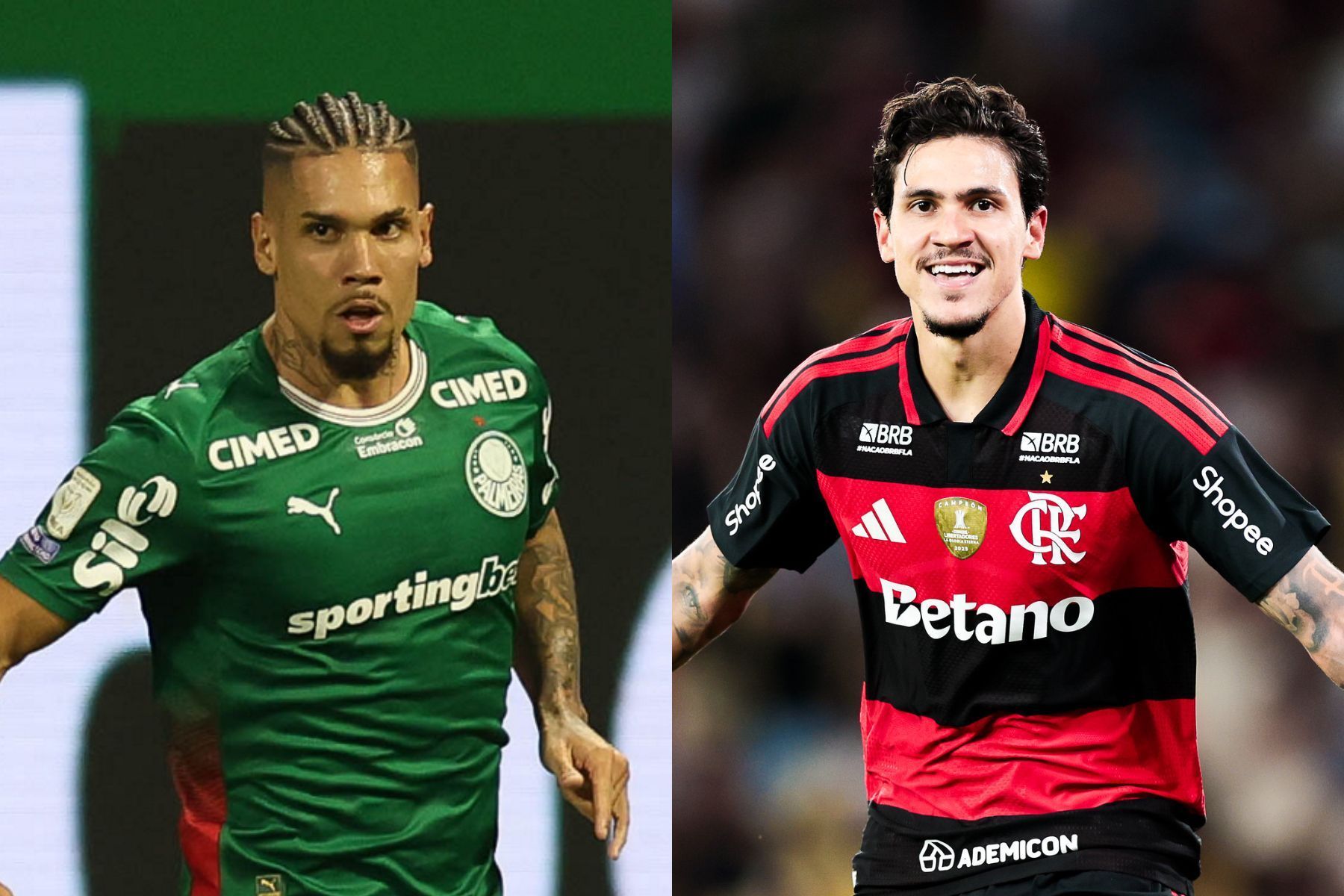 Palmeiras, Flamengo e mais: UFMG aponta chances de título da Série A