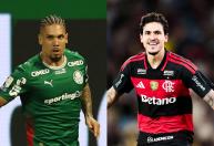 Palmeiras, Flamengo e mais: UFMG aponta chances de título da Série A