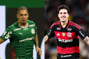 Palmeiras, Flamengo e mais: UFMG aponta chances de título da Série A