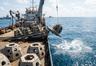 Recifes artificiais de concreto barram a pesca predatória e salvam espécies ameaçadas