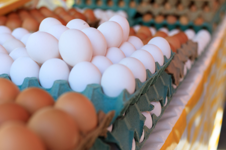 Bandejas com ovos brancos e marrons expostas para comercialização.