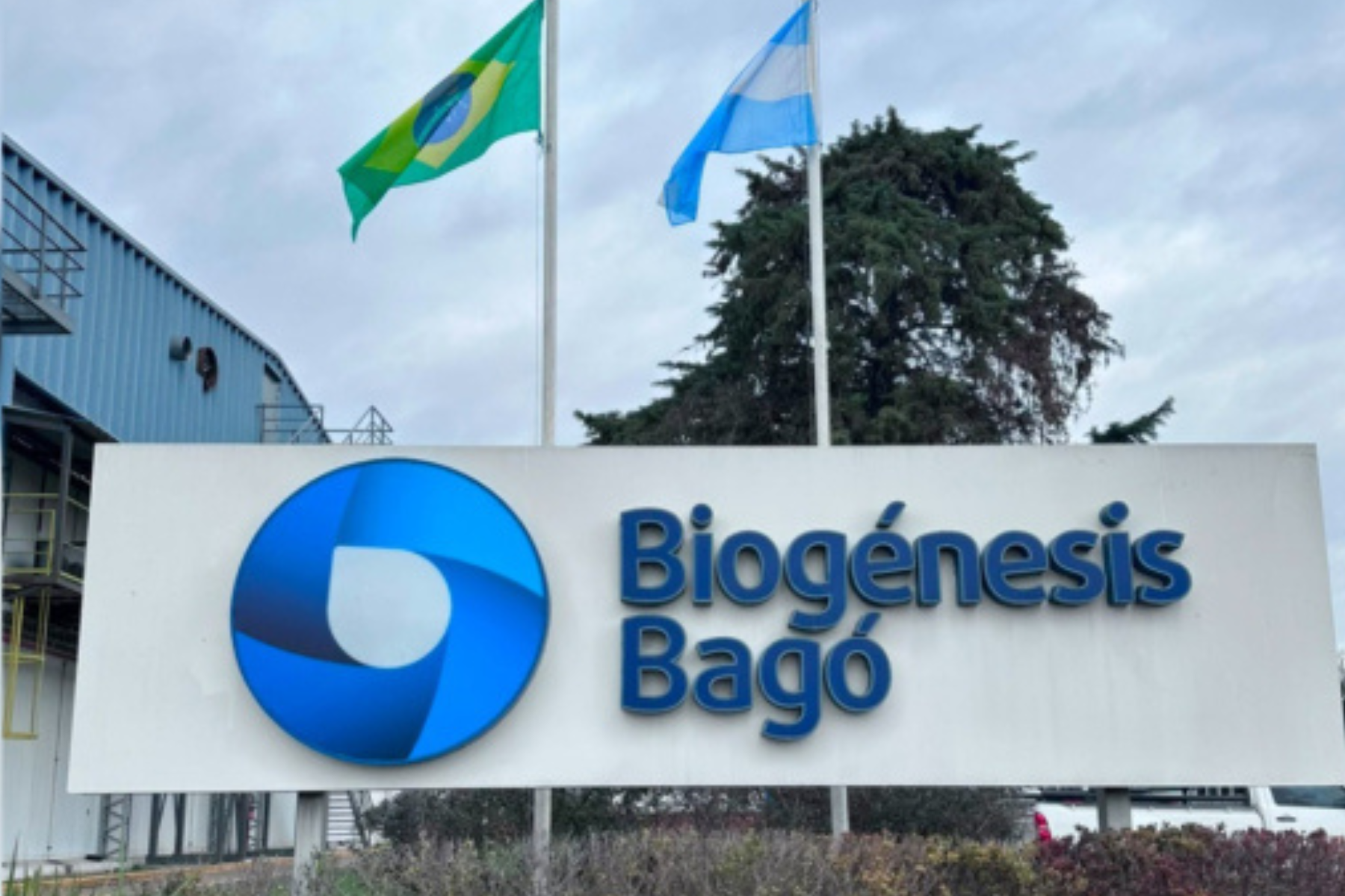 Contra a febre aftosa, Brasil cria banco estratégico de antígenos na Argentina