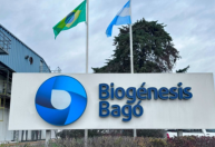Contra a febre aftosa, Brasil cria banco estratégico de antígenos na Argentina