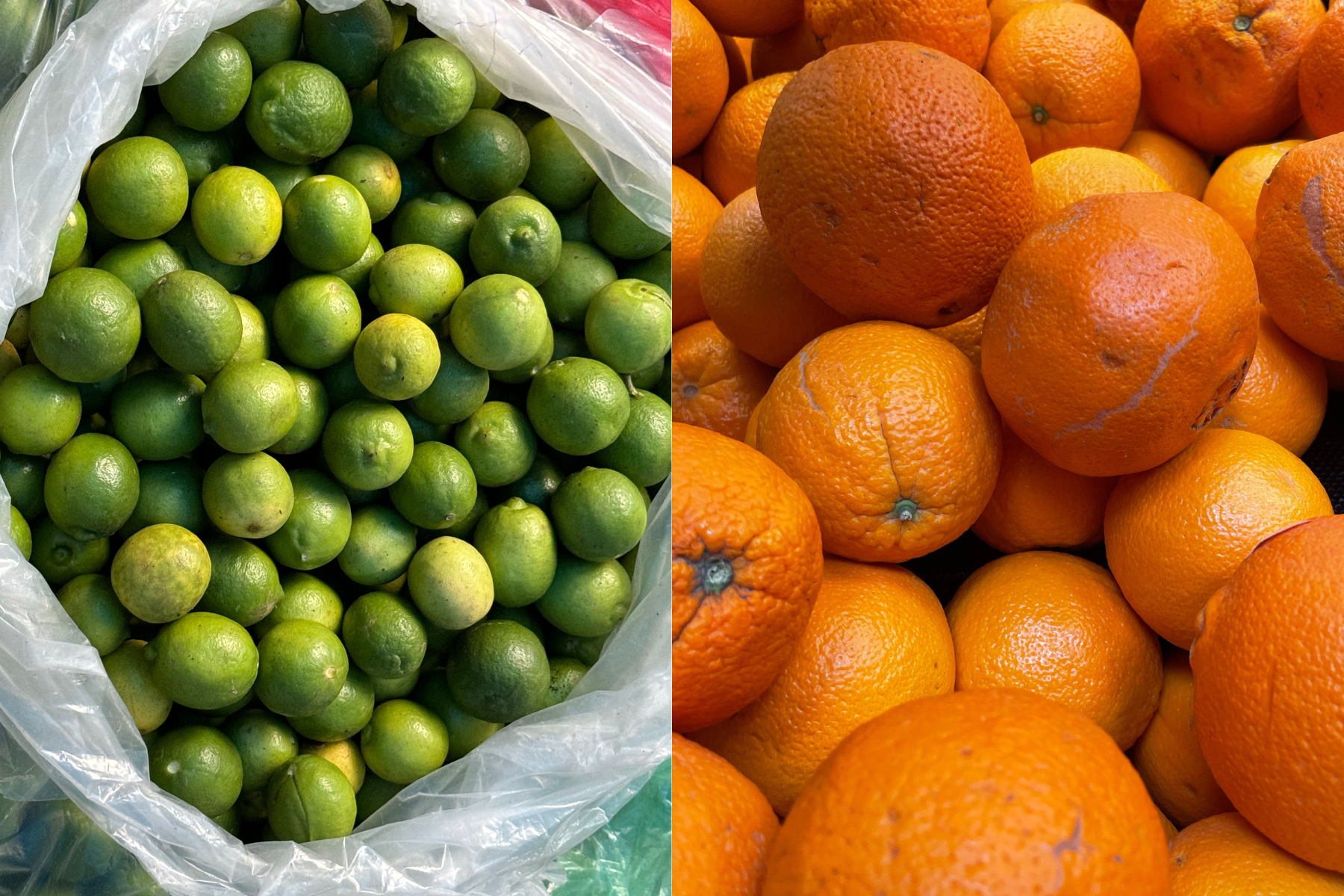 Maior oferta derruba preços da laranja; tahiti sobe na entressafra