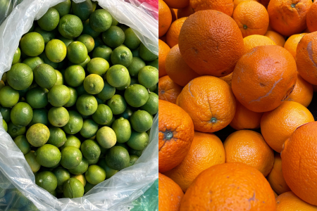 Montagem com limas ácidas tahiti verdes à esquerda e laranjas de mesa à direita.