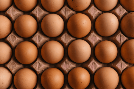 Bandeja com ovos organizados para comercialização.