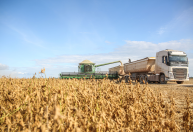 Com safra recorde, PIB da cadeia da soja e do biodiesel deve crescer 6,8% em 2026