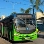 Novos ônibus são aprovados por passageiros, mas horários seguem como desafio em Ipatinga