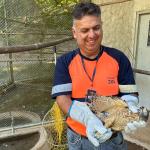 Equipes da Nova 381 participam de treinamento na Usipa para manejo de animais silvestres