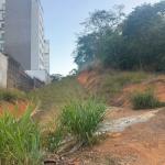 Audiência na ALMG debate futuro de áreas públicas avaliadas em quase R$ 100 milhões em Ipatinga