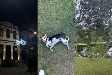 • Maria Fernanda Ramos/Itatiaia