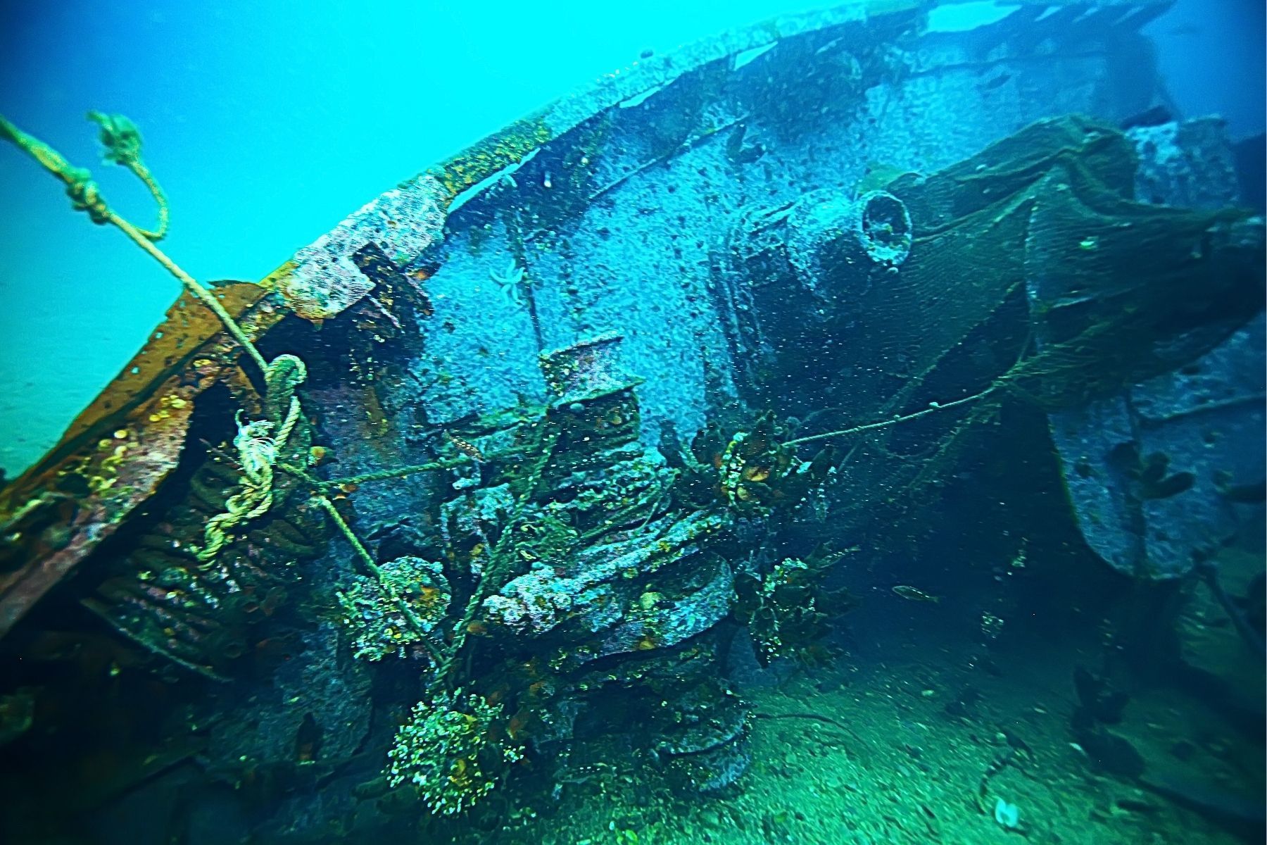 Naufrágios centenários descobertos na Suécia revelam a evolução naval medieval