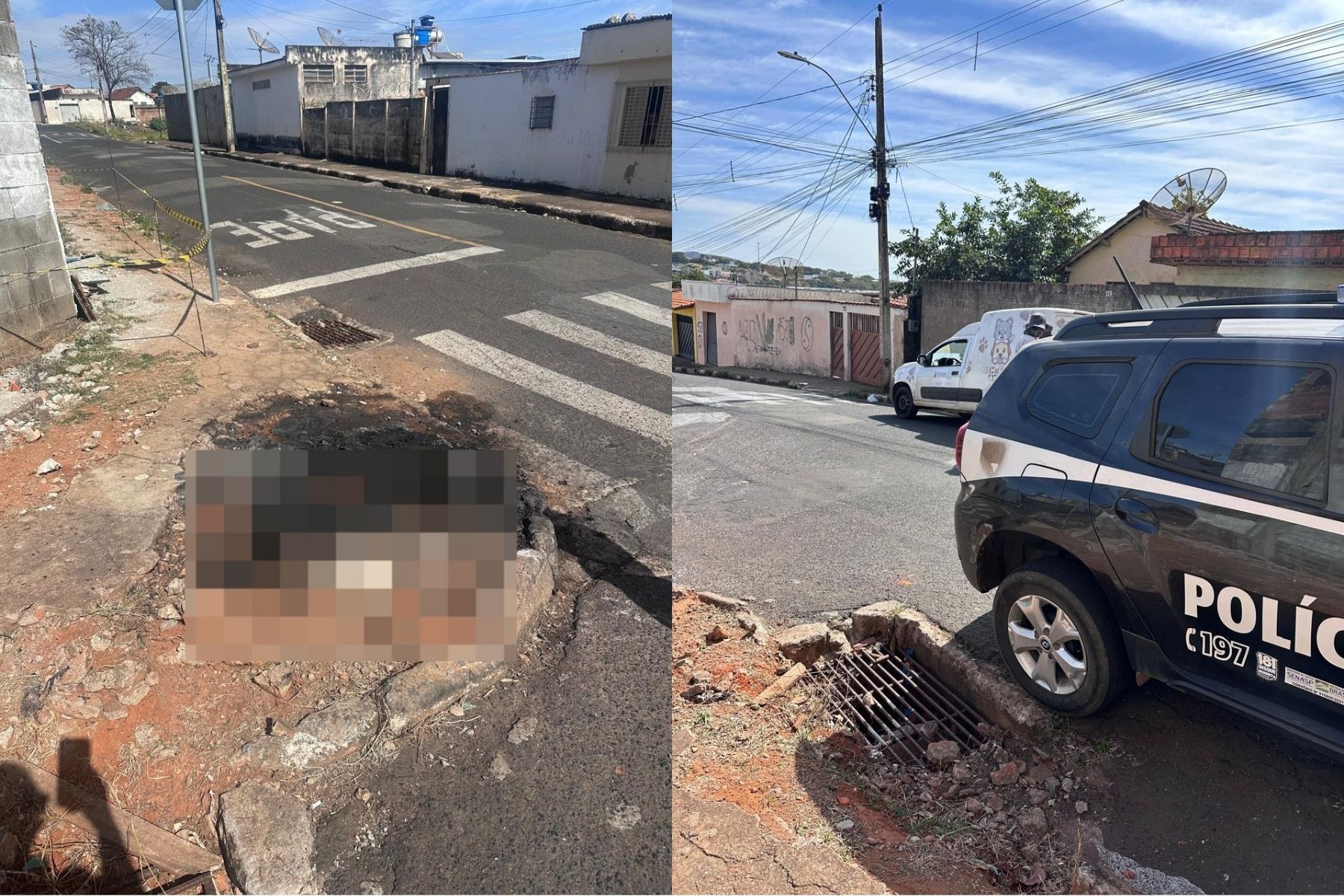Homem invade casa da ex e queima cachorra viva após não aceitar fim do relacionamento em MG