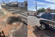 Homem invade casa da ex e queima cachorra viva após não aceitar fim do relacionamento em MG