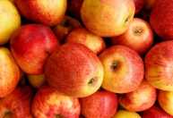 Exportação de maçã cresce mais de 200% e puxa alta das frutas do Brasil