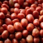 Tomate lidera queda de preços na CeasaMinas, enquanto cenoura pesa mais no bolso do consumidor