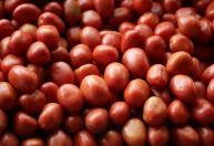 Tomate lidera queda de preços na CeasaMinas, enquanto cenoura pesa mais no bolso do consumidor