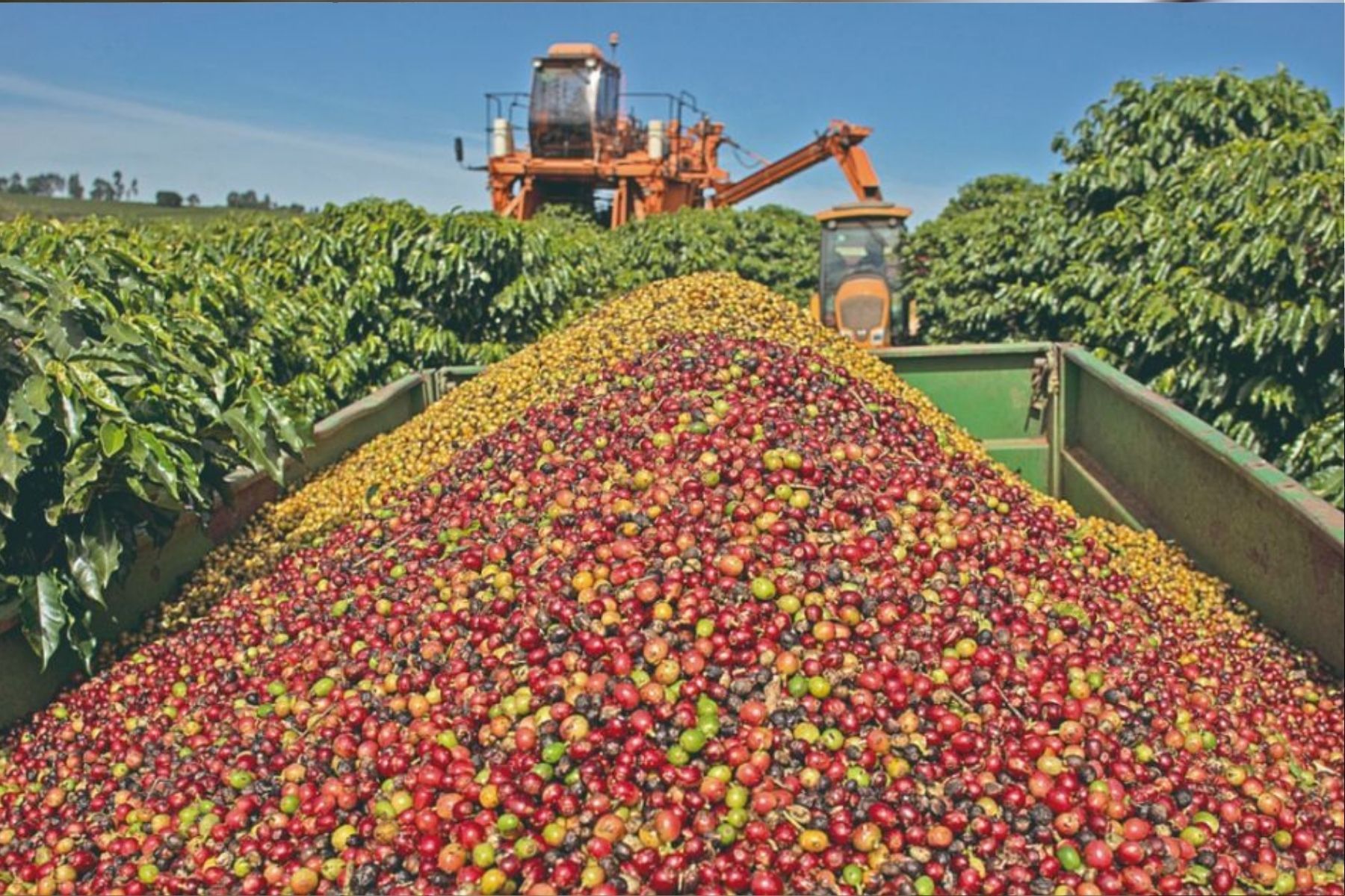 Exportações do agronegócio de Minas Gerais registram queda de 12,8% de janeiro e maio de 2026