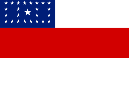 Bandeira do Amazonas • Divulgação | Governo Federal