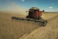 El Niño ameaça produção agropecuária mineira no segundo semestre