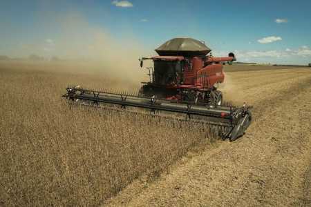 El Niño ameaça produção agropecuária mineira no segundo semestre