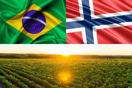Rivais só na Copa: troca de soja por fertilizantes une MT e Noruega em negócio de US$ 49 mi
