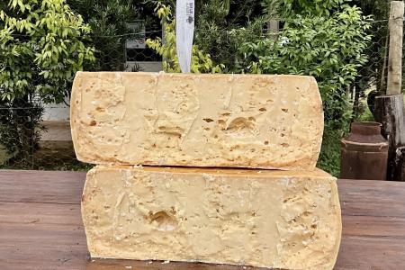 Com 36 kg, maior queijo da Canastra é aberto após 2 anos e já está à venda