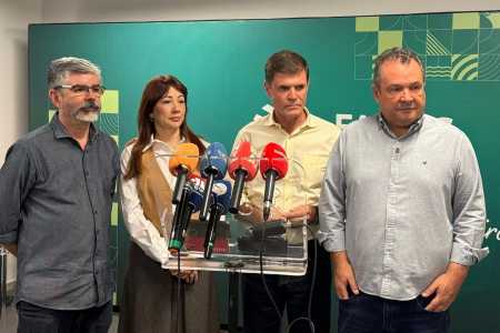 Além do café: setor florestal impulsiona agro de Minas, que atinge PIB de R$ 279 bilhões