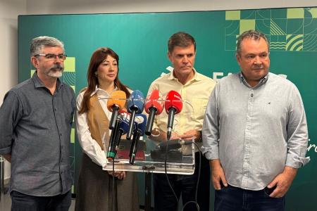 Além do café: setor florestal impulsiona agro de Minas, que atinge PIB de R$ 279 bilhões