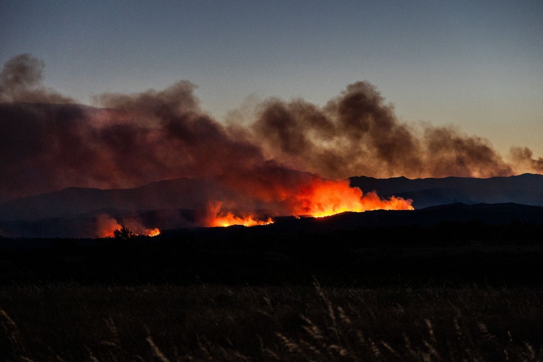 Incêndios florestais atingem Portugal, Grécia e Espanha; autoridades alertam para fumaça tóxica