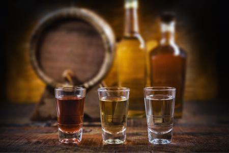 Expocachaça 2026 deve movimentar R$ 30 milhões com 250 expositores em BH