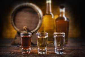 Expocachaça 2026 deve movimentar R$ 30 milhões com 250 expositores em BH