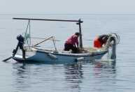 Governo libera R$ 874 milhões em seguro-defeso retroativo para 149 mil pescadores