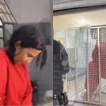 Diarista indiciada por matar casal de idosos em BH também dopou outros quatro clientes