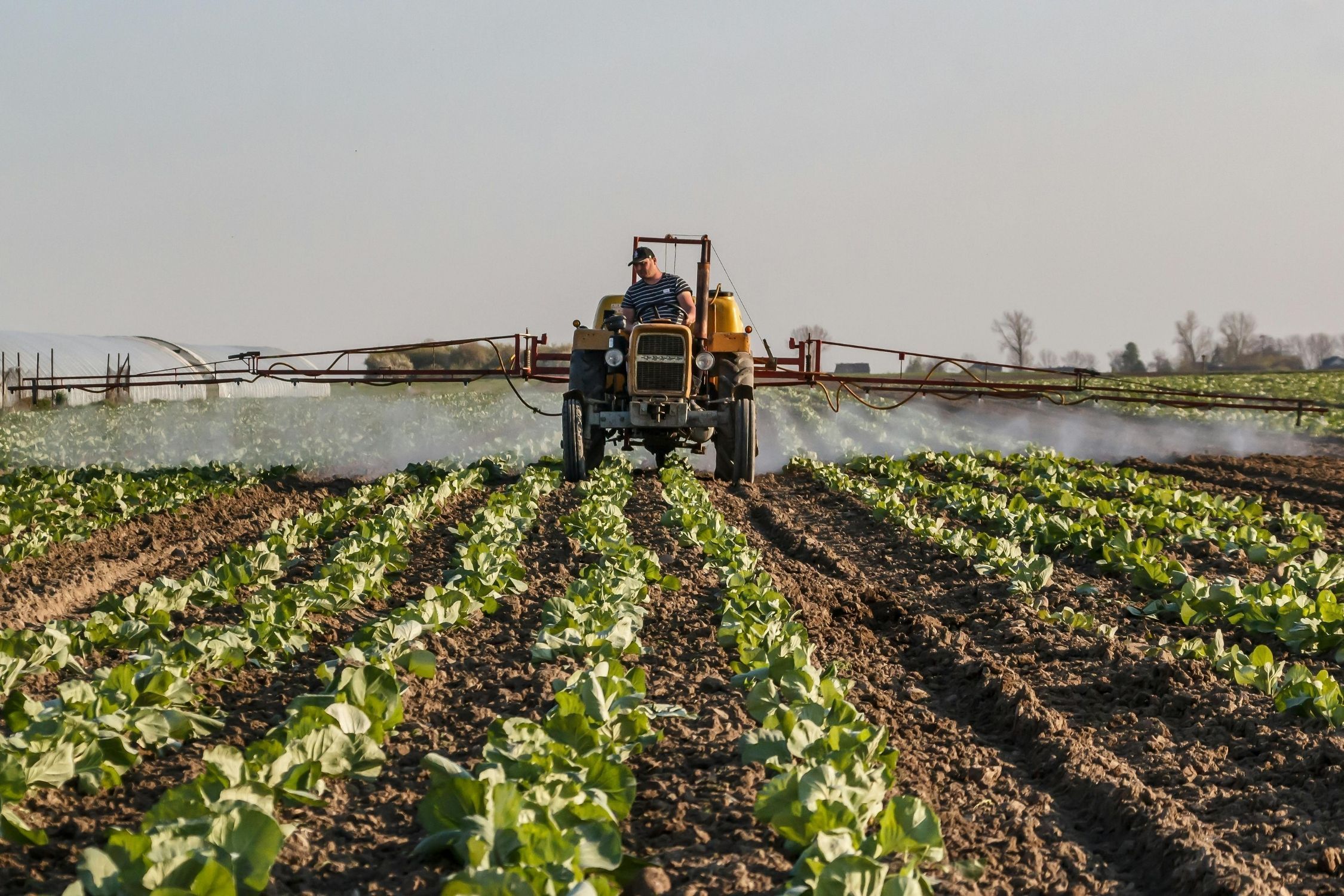 Brasil e Nigéria avançam em parceria para acelerar comércio agrícola e fertilizantes