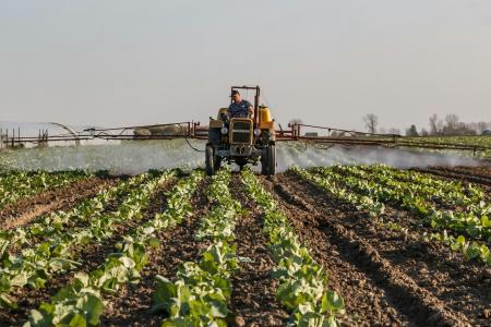 Brasil e Nigéria avançam em parceria para acelerar comércio agrícola e fertilizantes