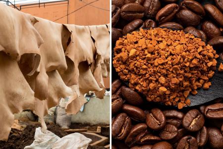 UE retira couro de lei antidesmatamento, mas inclui café solúvel na mira