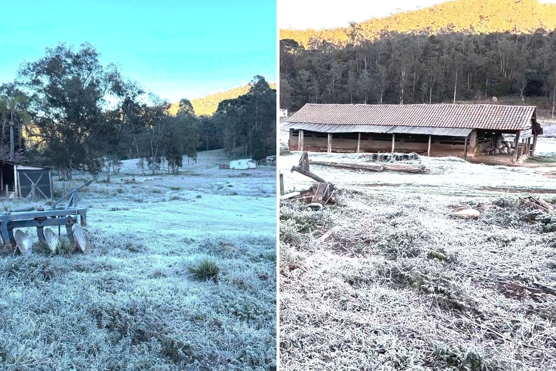 Sul de Minas registra temperatura de -11°C e geada impressionante; veja vídeo