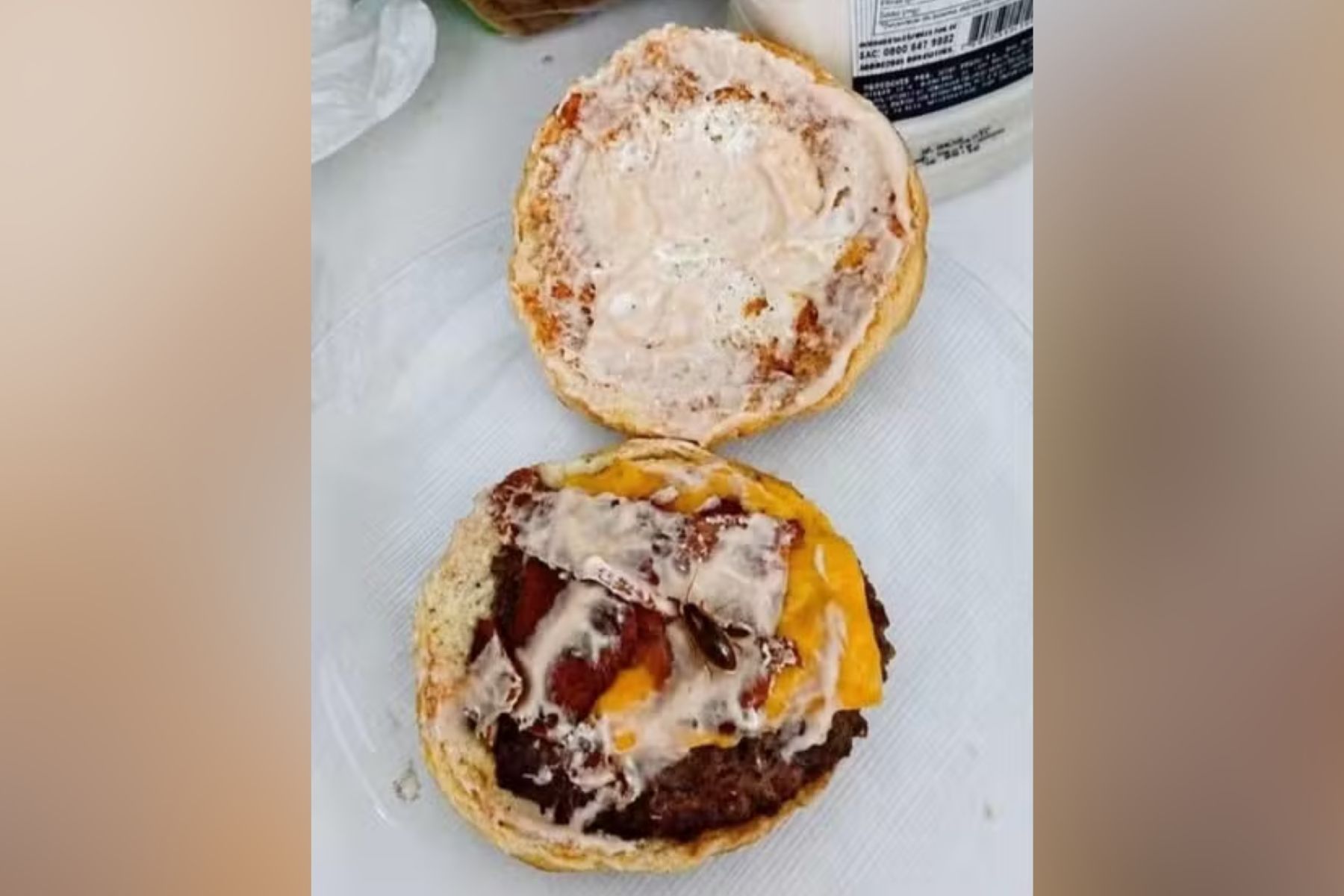 Cliente usa IA para simular barata em lanche para pedir reembolso de hamburgueria no PR