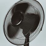 Se você tiver hélices de um ventilador antigo, terá um tesouro para o seu jardim: saiba por que e para que servem