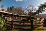 Mercado de cavalos impulsiona expansão de condomínios equestres no país