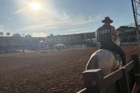 43ª Exposição Nacional do Cavalo Mangalarga Marchador