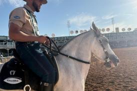 43ª Exposição Nacional do Cavalo Mangalarga Marchador