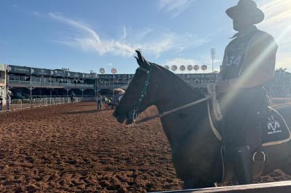 43ª Exposição Nacional do Cavalo Mangalarga Marchador