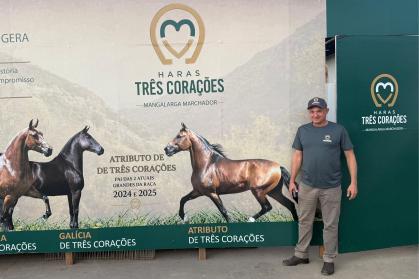 43ª Exposição Nacional do Cavalo Mangalarga Marchador