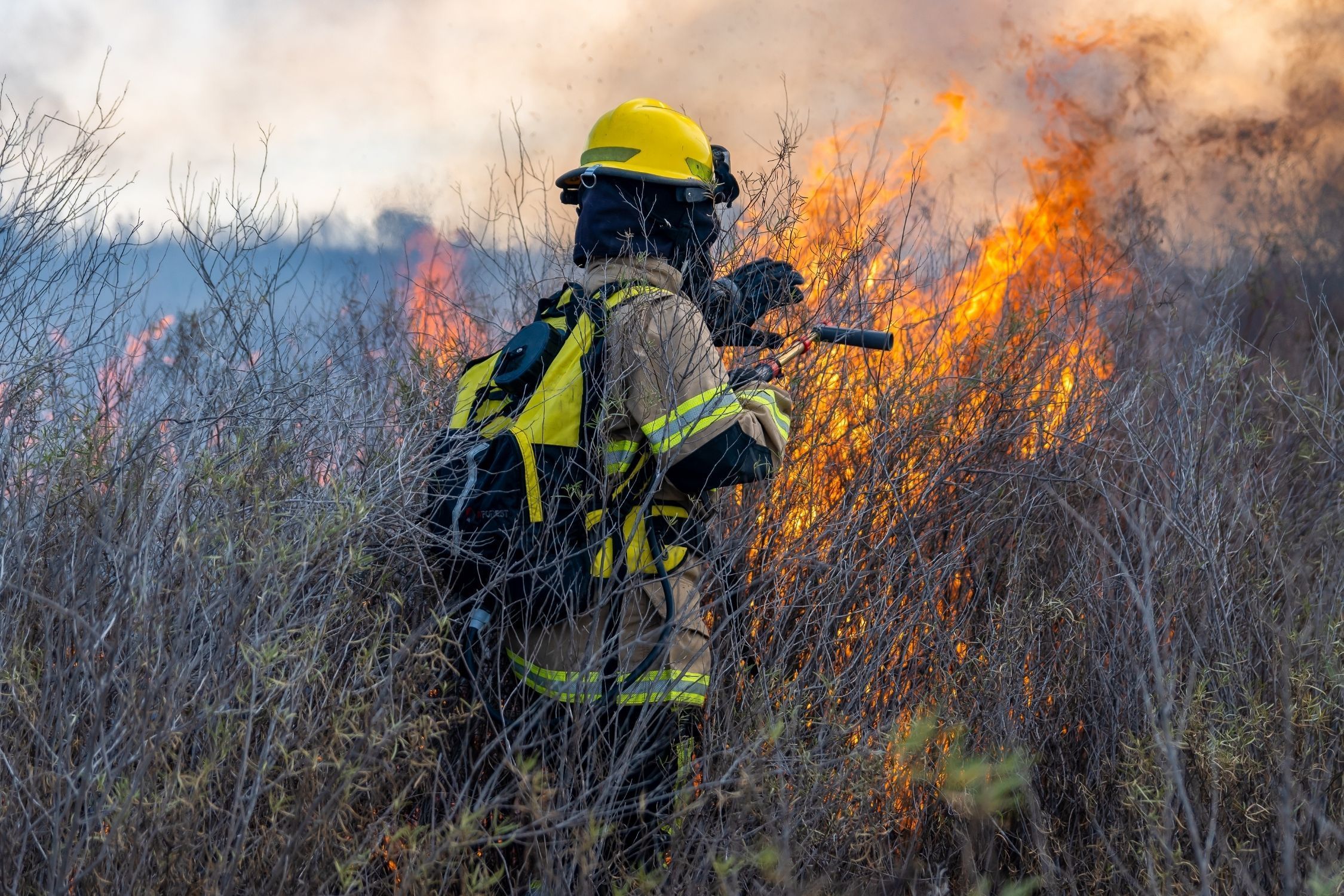 30-30-30: o alerta que todo bombeiro florestal teme ao combater incêndios